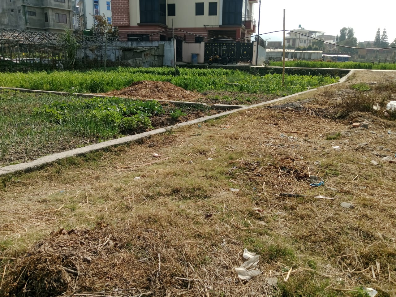 Picture of Mahalaxmi Municipality, Bagmati